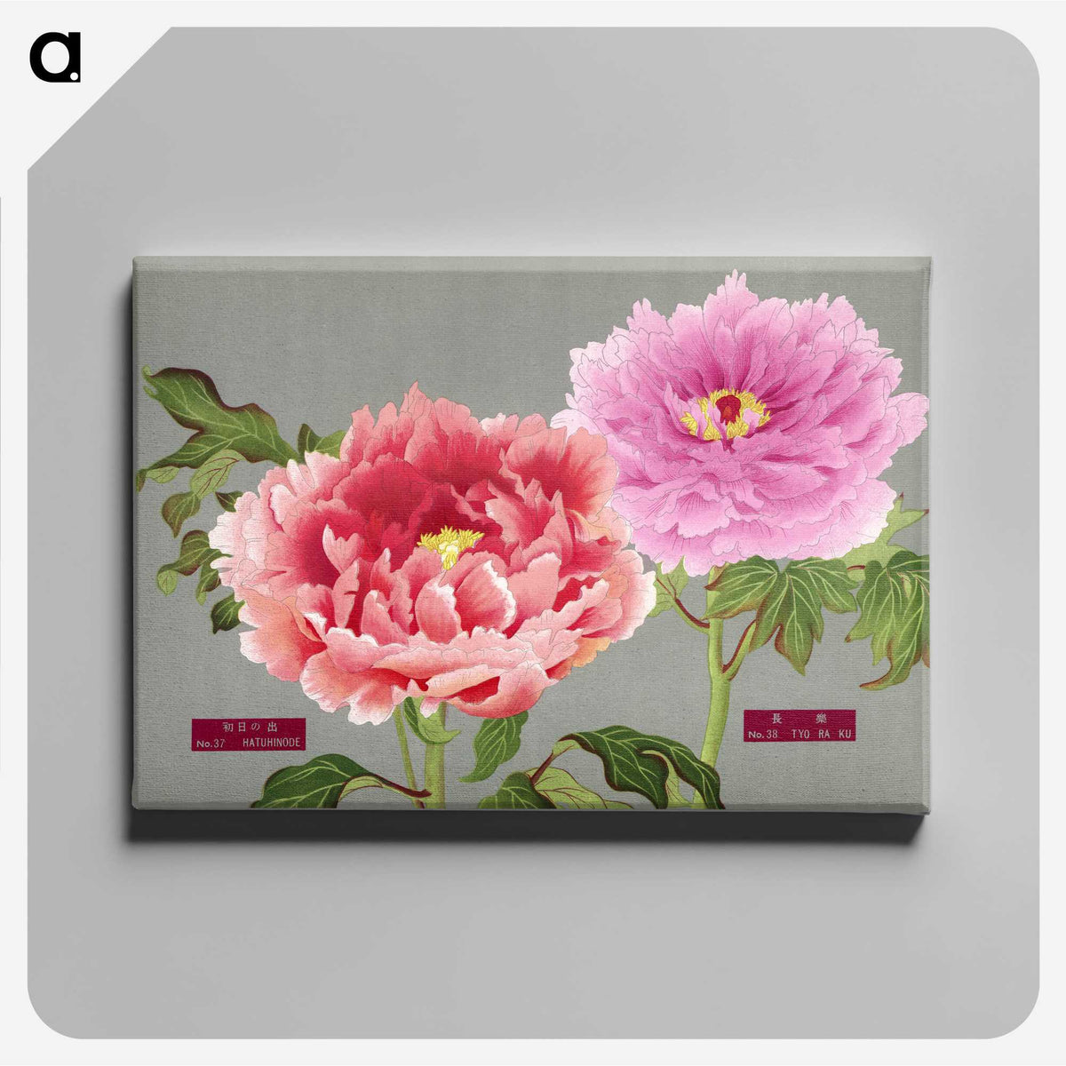 1-13_The-Picture-Book-of-Peonies_canvas