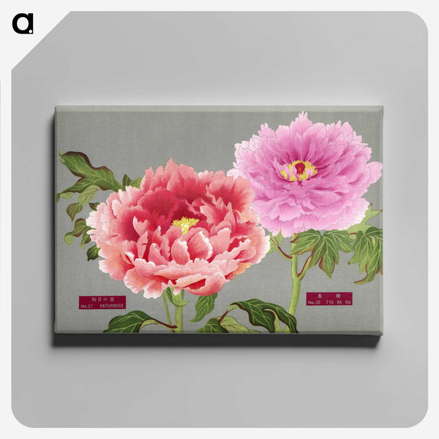 1-13_The-Picture-Book-of-Peonies_canvas