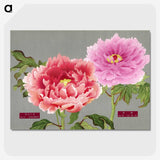 1-13_The-Picture-Book-of-Peonies_picture-crop