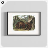 1-13_The-Viviparous-Quadrupeds_blk