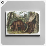 1-13_The-Viviparous-Quadrupeds_canvas