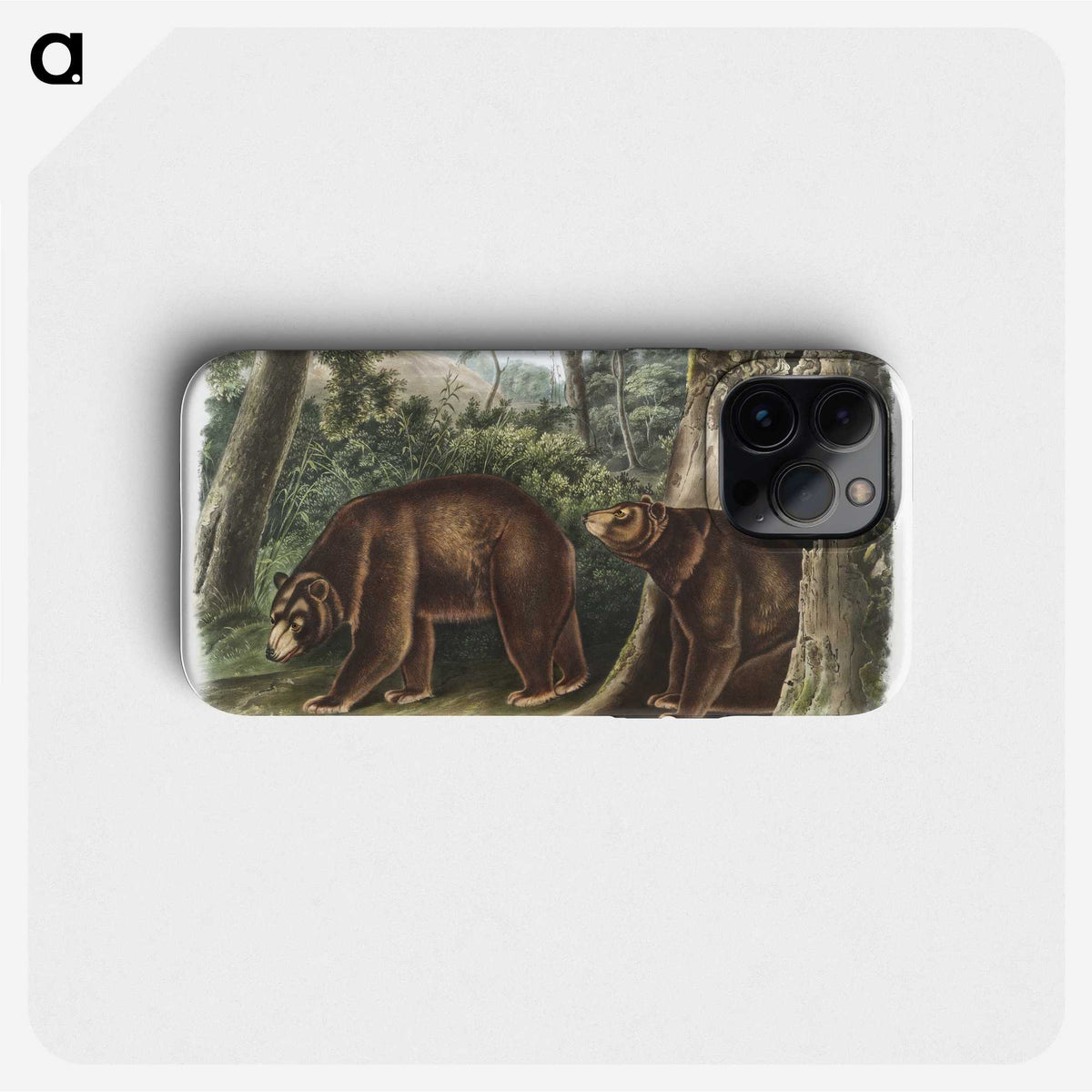 1-13_The-Viviparous-Quadrupeds_phone