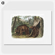 1-13_The-Viviparous-Quadrupeds_picture