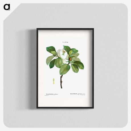 1-13_Treatise-on-Trees-and-Shrubs_blk