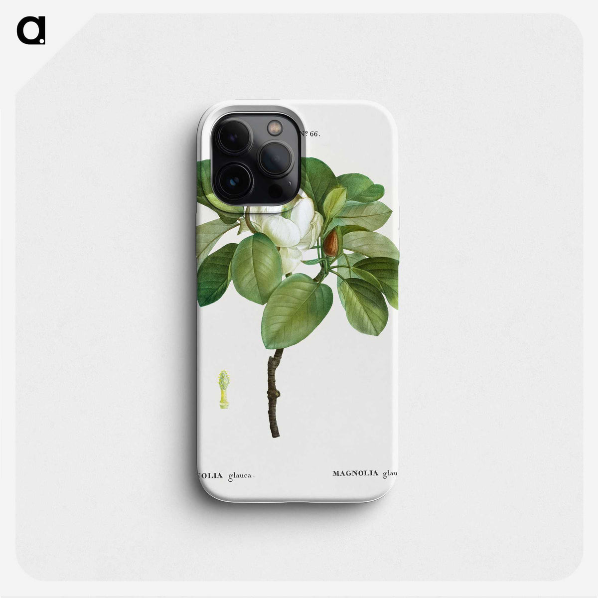 1-13_Treatise-on-Trees-and-Shrubs_phone