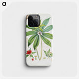 Paris Polyphylla, Smith - ウォルター フッド フィッチ Phone Case.