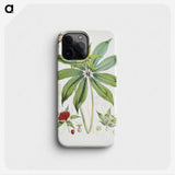 1-13_Walter-Hood-Fitch_phone