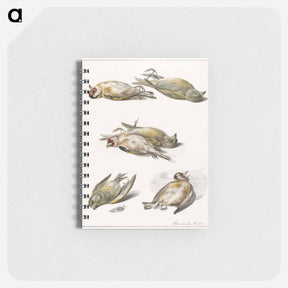 アートメモ帳-Six dead birds - ウィレム ヴァン リーン Memo.