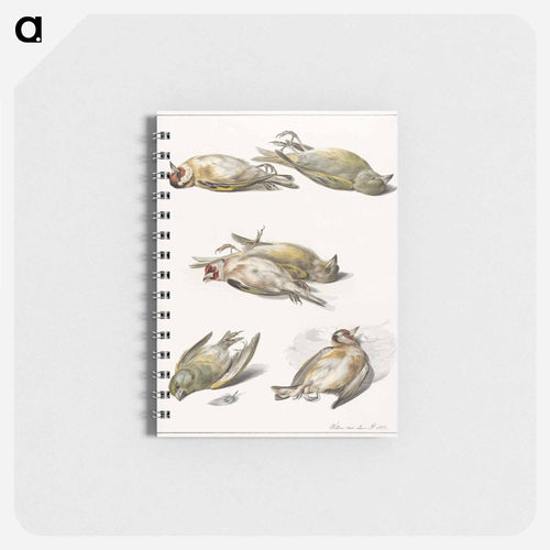 Six dead birds - ウィレム ヴァン リーン Memo.