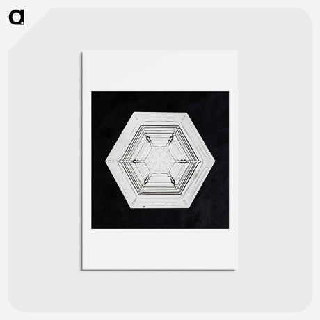 アートポストカード-Wilson Bentley's Snowflake 234 - ウィルソン ベントレー Postcard.