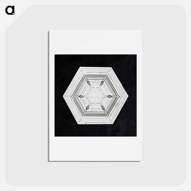 アートポストカード-Wilson Bentley's Snowflake 234 - ウィルソン ベントレー Postcard.