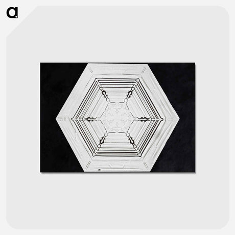 アートポストカード-Wilson Bentley's Snowflake 234 - ウィルソン ベントレー Postcard.