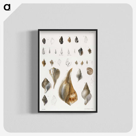 1-13_Zoology-of-New-York_blk-crop