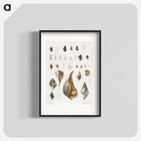 1-13_Zoology-of-New-York_blk