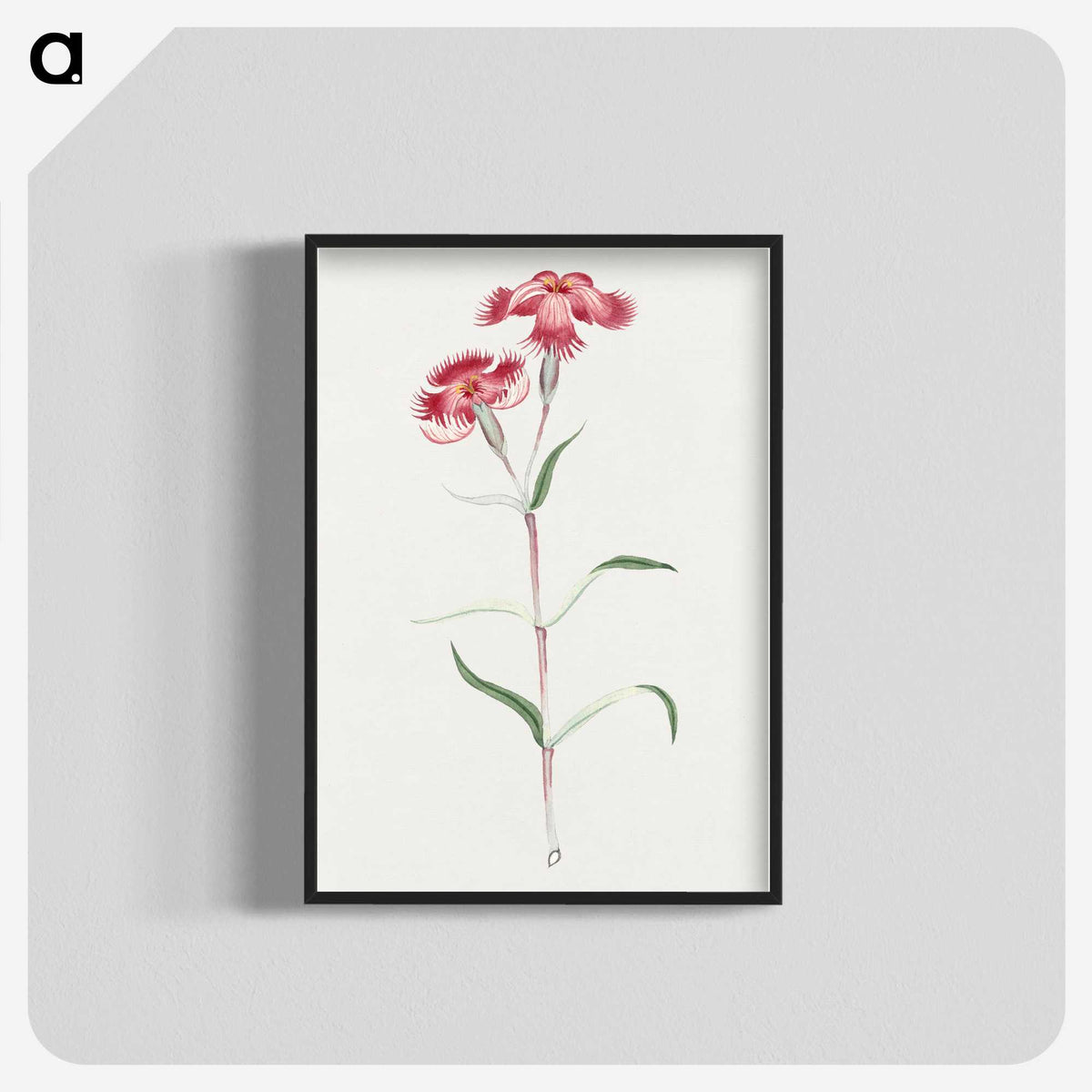 1-14_19th-Century-Japanese-Flowers_blk-crop