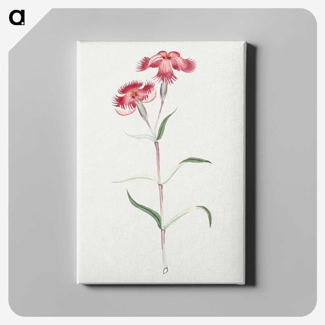1-14_19th-Century-Japanese-Flowers_canvas