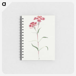 1-14_19th-Century-Japanese-Flowers_memo