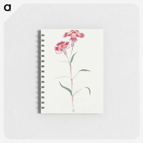 1-14_19th-Century-Japanese-Flowers_memo