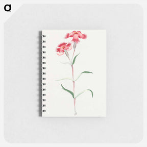 アートメモ帳-Haguma nadeshiko - 19世紀の日本の花 Memo.