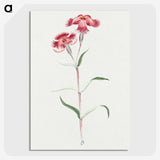 1-14_19th-Century-Japanese-Flowers_picture-crop