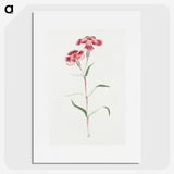 1-14_19th-Century-Japanese-Flowers_picture