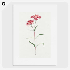 1-14_19th-Century-Japanese-Flowers_picture