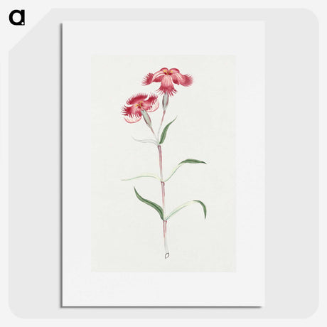 1-14_19th-Century-Japanese-Flowers_picture