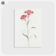 1-14_19th-Century-Japanese-Flowers_postcard