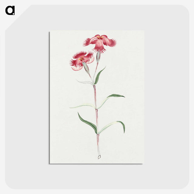 1-14_19th-Century-Japanese-Flowers_postcard