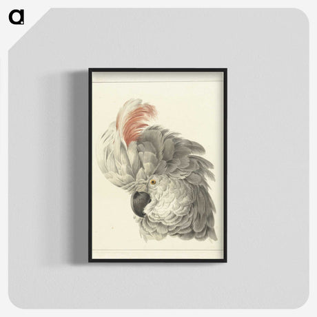 1-14_Aert-Schouman_blk-crop