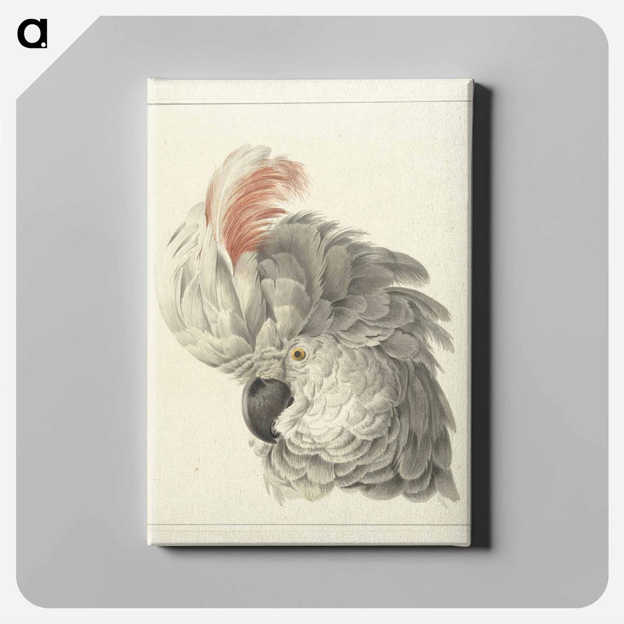 Kop van een kaketoe Papegaaienkop - アールト シューマン Canvas.