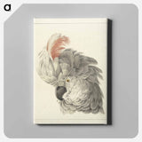 Kop van een kaketoe Papegaaienkop - アールト シューマン Canvas.