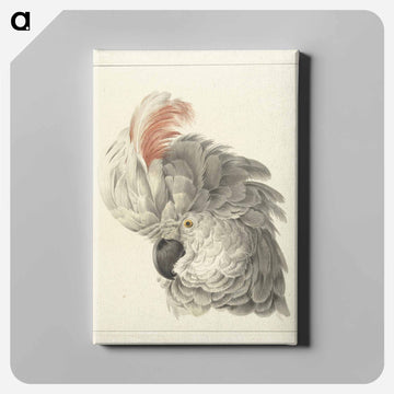 Kop van een kaketoe Papegaaienkop - アールト シューマン Canvas.