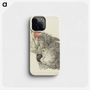 1-14_Aert-Schouman_phone