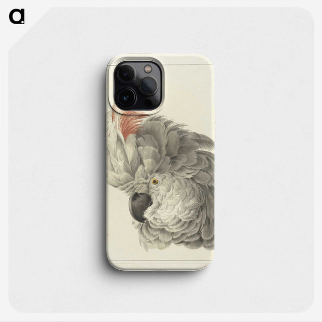 1-14_Aert-Schouman_phone