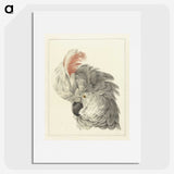 1-14_Aert-Schouman_picture