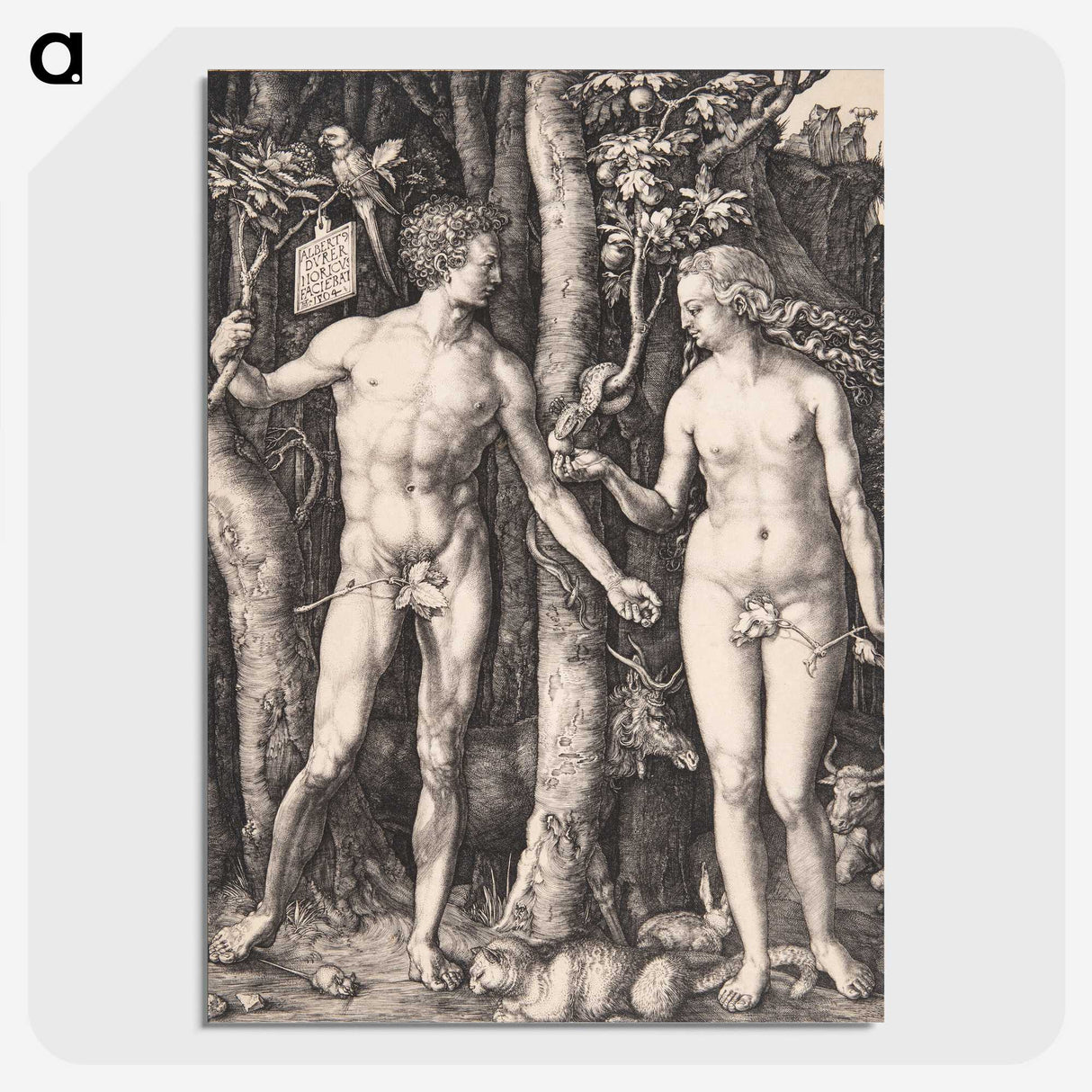 1-14_Albrecht-Durer_picture-crop