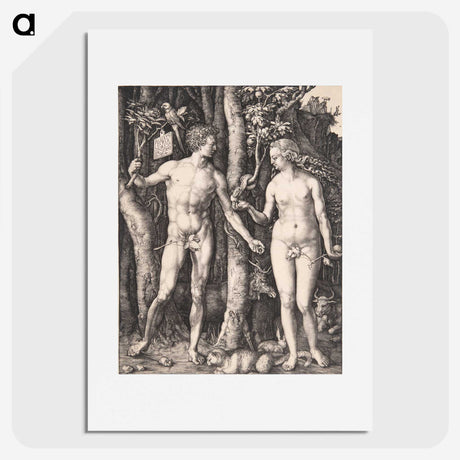 1-14_Albrecht-Durer_picture