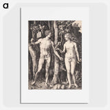 アートポスター-Adam and Eve - アルブレヒト デューラー Poster.