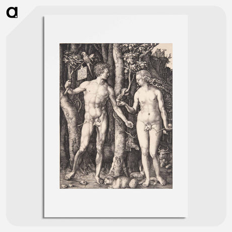 アートポスター-Adam and Eve - アルブレヒト デューラー Poster.