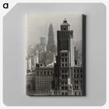 1-14_Alfred-Stieglitz_canvas