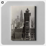 From the Shelton Looking North - アルフレッド スティーグリッツ Canvas.