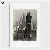 1-14_Alfred-Stieglitz_picture