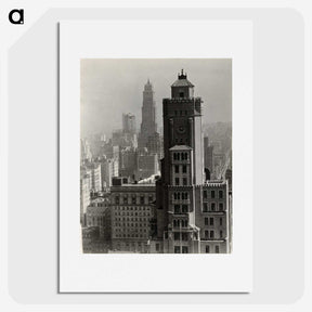 1-14_Alfred-Stieglitz_picture