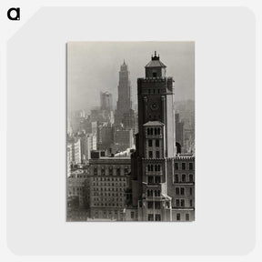 1-14_Alfred-Stieglitz_postcard