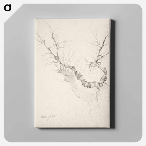 Puunrunko ilman lehdistöä - アンダース エクマン Canvas.