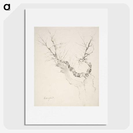 1-14_Anders-Ekman_picture