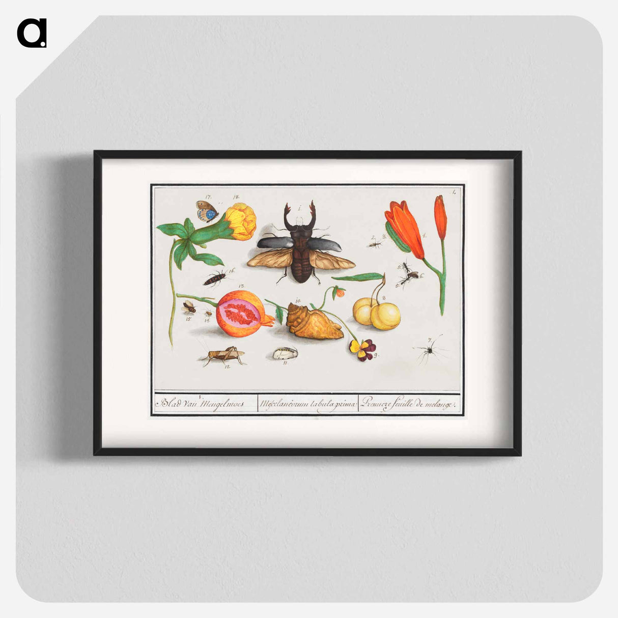 Natural History Ensemble, no. 1 - アンセルムス ボエティウス デ ブート Poster.