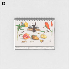 アートメモ帳-Natural History Ensemble, no. 1 - アンセルムス ボエティウス デ ブート Memo.
