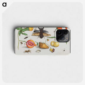 1-14_Anselmus-Boetius-de-Boodt_phone